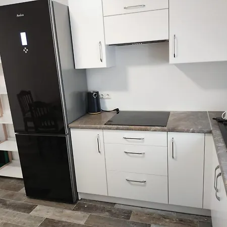 Apartamento Mieszkania Dla Pracownikow Monteurzimmer Efringen-Kirchen