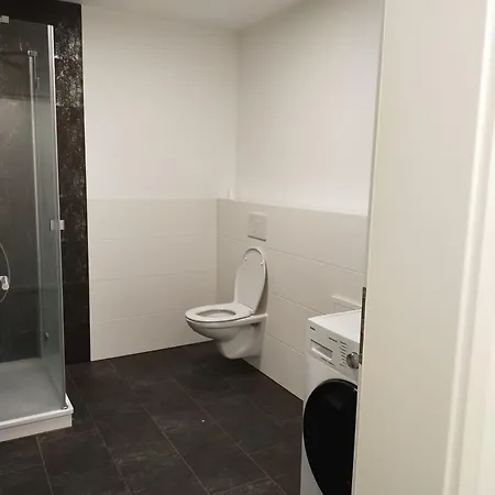 Apartment Mieszkania Dla Pracownikow Monteurzimmer Efringen-Kirchen